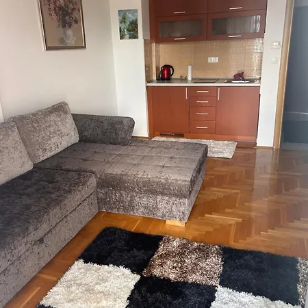 Atila Light Apartament *