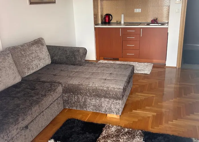 Atila Light Apartament *